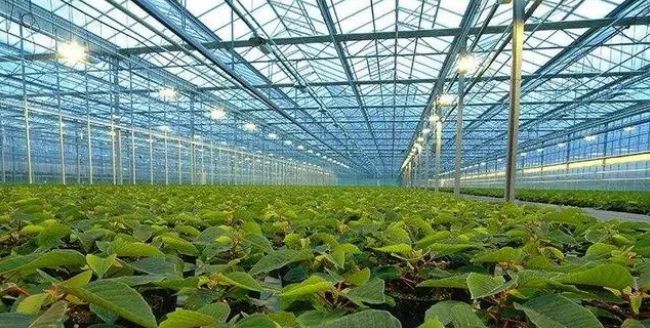 智慧農業八大應用場景 畜牧漁業飼料的精準變革